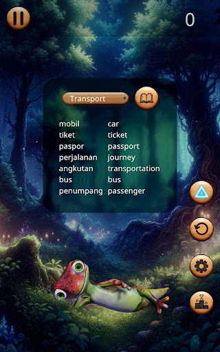 WordCatch - Language Learning