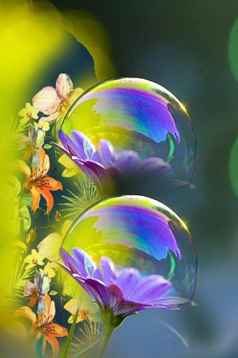 Flowers Wallpapers HD And GIF
