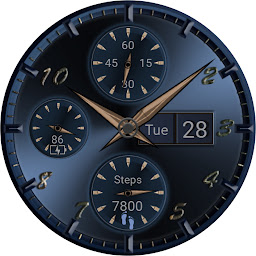 Icon image TSD46 Metallic Watch Face