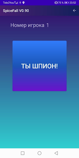 SpуFall Screen 3