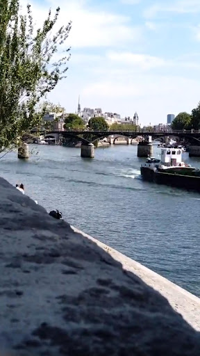 Android application paris video wallpaper screenshort