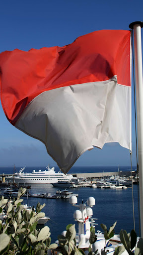 Android application Monaco flag screenshort