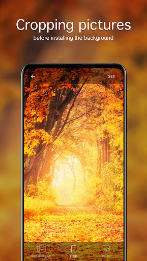 Screenshot of Autumn Wallpapers 4K