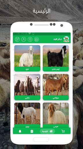 Android application ذبائح البلد screenshort