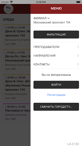 Ploshkina_ballet Screen 3