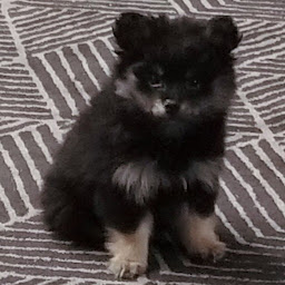 Icon image Marnie Appreciation App