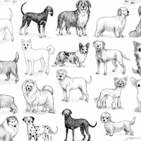 Dog Quiz Pro  100+ Dog Breeds