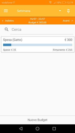 Portafoglio - Expense Tracking Screen 2