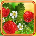 Cover Image of Download Berries Summer Juicy  APK