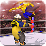 Superheroes Fight Tag Team Wrestling Revolution icon