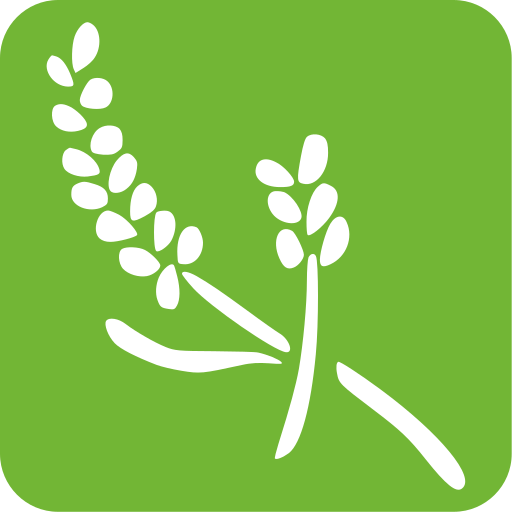 Guia de Aromaterapia logo