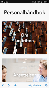 Предварительный просмотр приложения