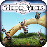 Hidden Pieces: Bug Village icon