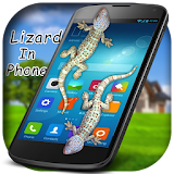 3D Lizard in phone Prank icon