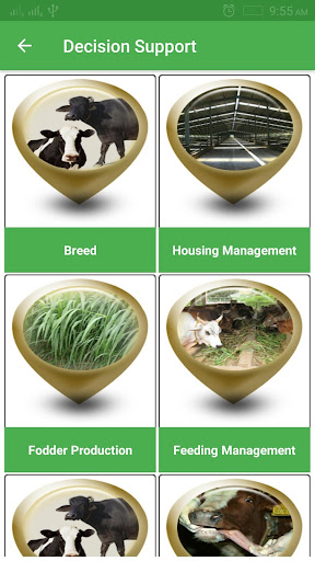 Cattle Expert System Screen 3