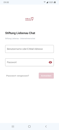 Mein Liebenau Chat Screen 2