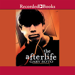 Icon image The Afterlife