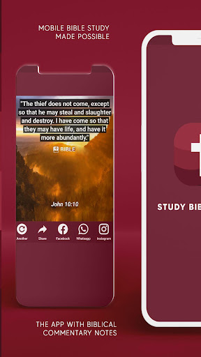 Study Bible Offline screenshot 3