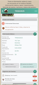 Imagen de la captura de pantalla
