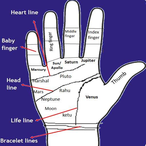 PALMISTRY (HASTREKHA VIGYAN)  Icon