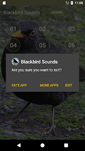 Captura 5 Blackbird Sounds android