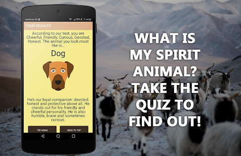 Which animal are you? Quiz