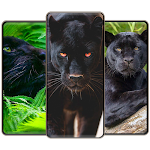 Cover Image of Baixar Black Panther Wallpapers  APK