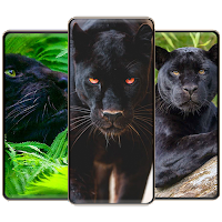 Download Black Panther Wallpapers Free for Android - Black Panther  Wallpapers APK Download 