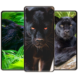 Icon image Black Panther Wallpapers