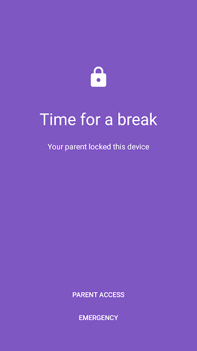 Family Link Manager Screen 3