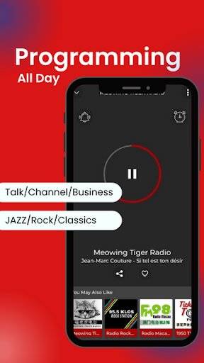 MEOWING TIGER RADIO Screen 2