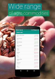 Commodity Price Online