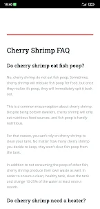 Cherry Shrimp Care