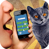 Cat Translator 3D sound icon