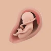 Mommy Womb - Pregnancy Tracker icon