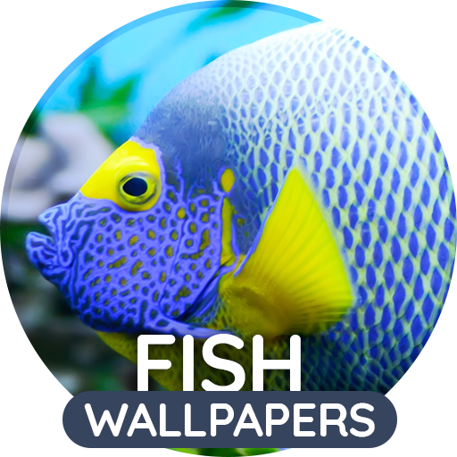 Wallpapers 4K with fish logo