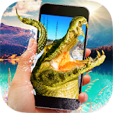 Crocodile in Phone Prank icon