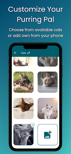 Pet The Cat: Sounds of Purring Screen 3