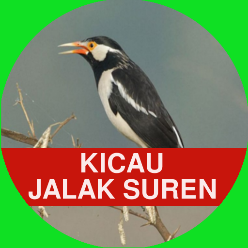 Suara Kicau Jalak Suren Gacor logo