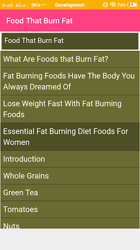 Food That Burn Fat Screen 2