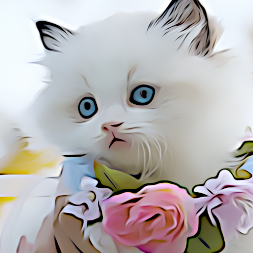 4K Cats Wallpapers 1 Icon