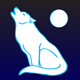 Animal Totem & Spirit Guide icon