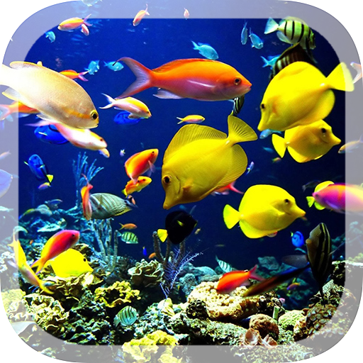 3D Aquarium Live Wallpaper - Apps en Google Play