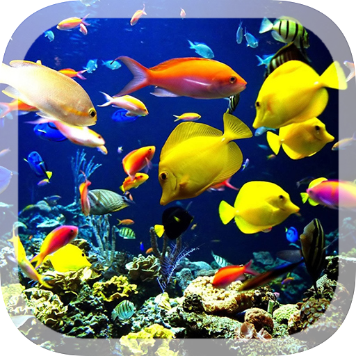 Real Aquarium Live Wallpaper 1.1.0 Icon