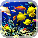 3D Real Aquarium Live Wallpaper icon