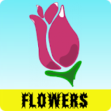 Flower Images Free icon