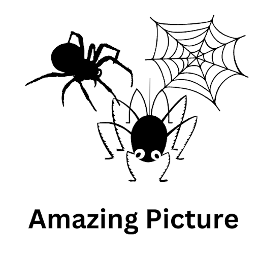 Android application Spider Wallpapers screenshort