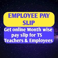 IFMIS TS Employees payslip Download