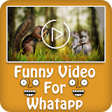 Funny Video For Whatsap icon