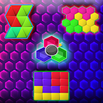 Hexa Puzzle : Shape Puzzle Apk